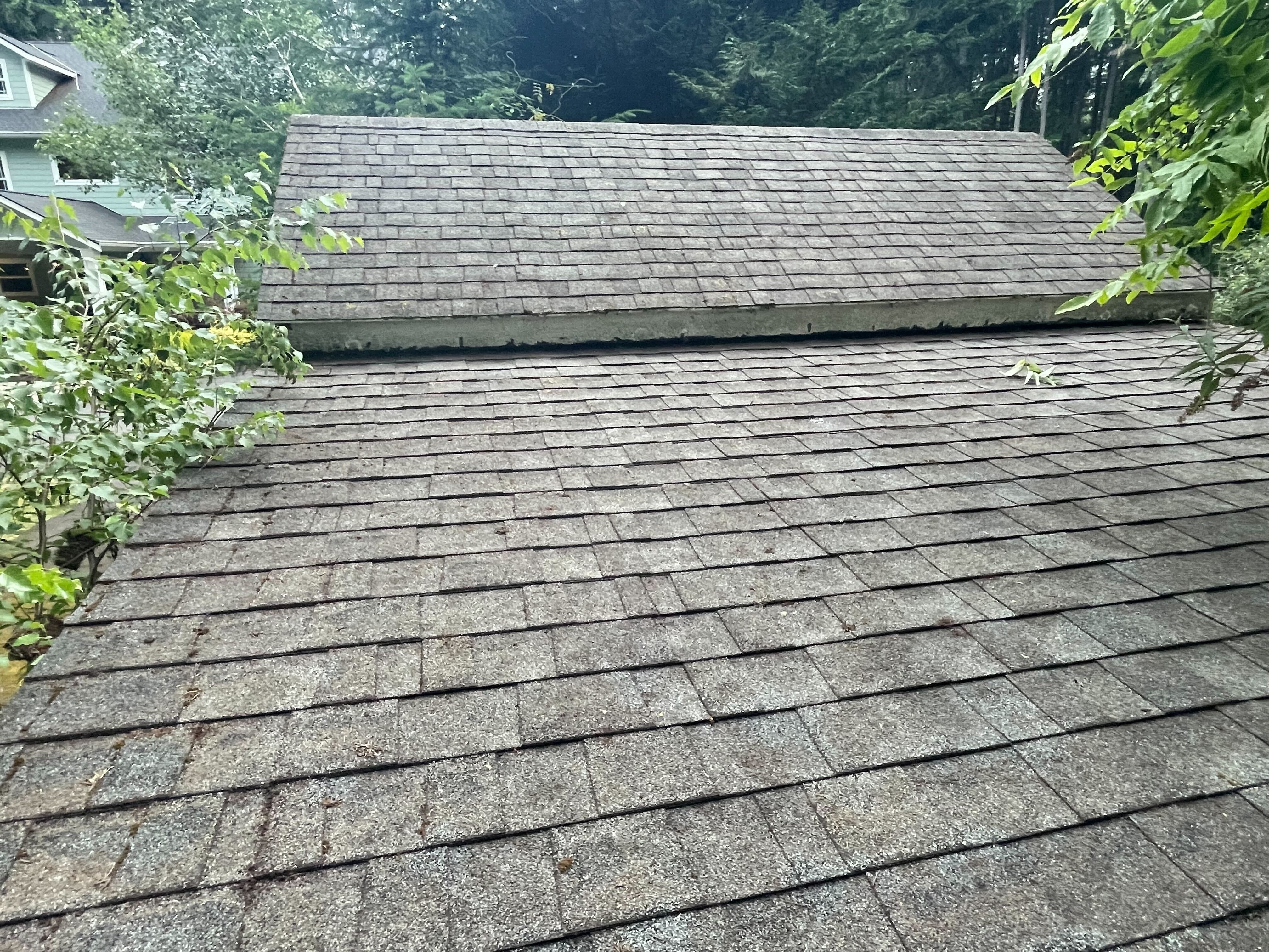 Roof after cleaning