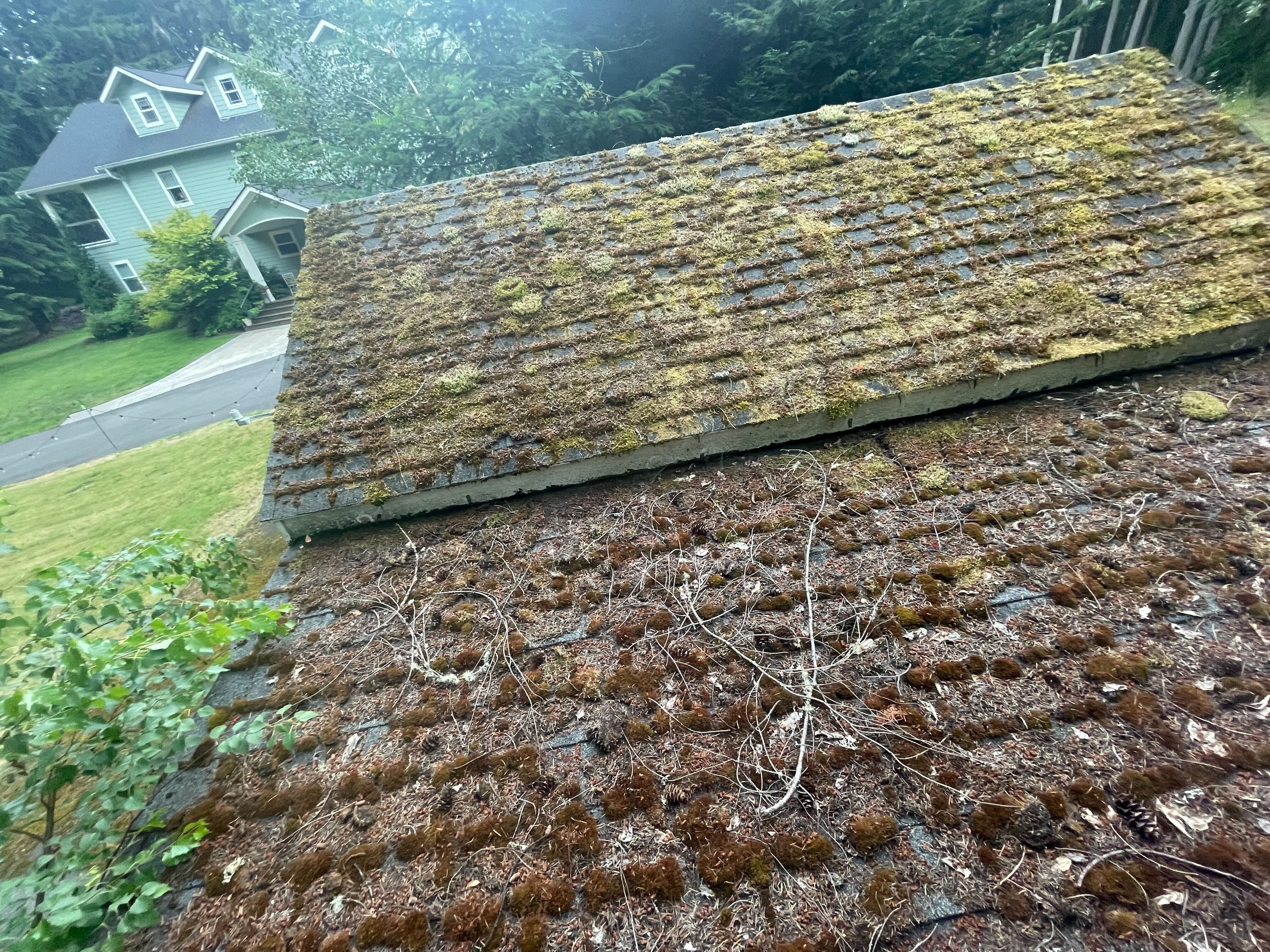 Roof before cleaning